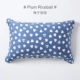 Meizi Rice Ball #plum Riceball #