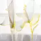 Вышивка Золотых румно -мистера.