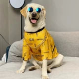 Модные солнцезащитные очки, ожерелье