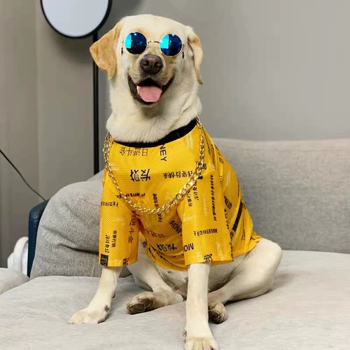 Модные солнцезащитные очки, ожерелье