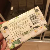 Белый фалаенопсис