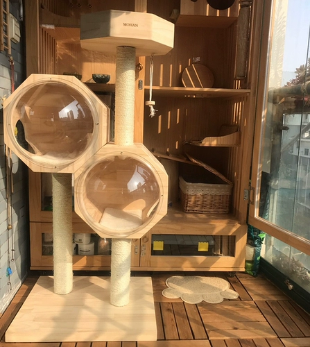 Летний космический спортивный комплекс из натурального дерева, кот