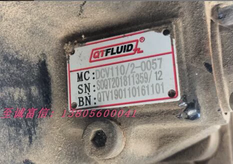 Qtfluid Shanghai Qiangtian гидравлический DCV110/2-0057