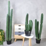 Классическая бесплатная доставка симуляция растения искусственная сказочная ладонь Бонсай холодный свет северный европейский стиль декоративная домашняя жизнь красавица