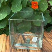 Bình thủy tinh vuông bình hoa tulip chậu cá vàng bể hoa nội thất nhà trồng hoa thủy canh - Vase / Bồn hoa & Kệ