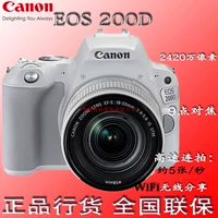 Máy ảnh Canon EOS 200D 18-55 IS STM Đặt Máy ảnh Bắt đầu Đen Trắng HD - SLR kỹ thuật số chuyên nghiệp máy ảnh canon 700d