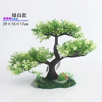 Fine Leaf Banyan (зеленый))