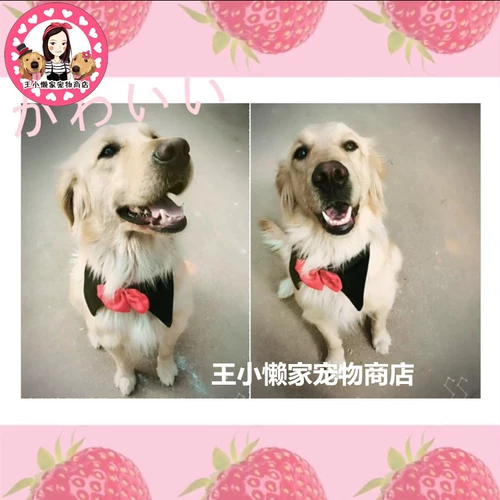 ПЭТ БОЛЬШОЙ ДОБАВИТЬ Свадебная свадьба Новый год рождественские украшения воротника Золотой Рето Само Хузак Средний Доги