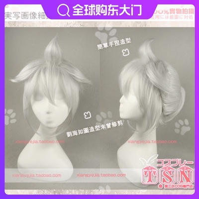 taobao agent TSN Second Family/Ben Ten V Family Hatsune Miku Future subcontracted silver -shaped model thickened COS wig 33