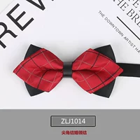 ZLJ1014