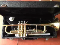 Маленькие медные музыкальные инструменты, Шанхай