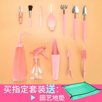 Mọng nước trồng công cụ kết hợp set ra hoa mini nguồn cung cấp vườn thịt trong chậu thịt công cụ đồ làm vườn