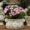 Hoa gốm thịt nồi đất sét bình hoa châu Âu retro đồ đá hoa cổ điển Victoria chậu trong chậu - Vase / Bồn hoa & Kệ
