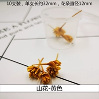 Трехмерный сушеный цветочный цветочный цветочный цветочный цветок (10 цветов)