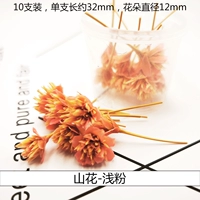 S Трехмерный сушеный цветочный цветочный цветочный цветочный светло -розовый (10 цветов)