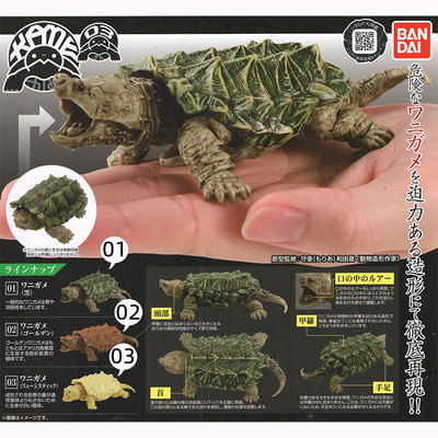 taobao agent There is stocks Bandai, Gacai, Turtle Turtle Turtle Turtle Simulation creature assembled mobilized model, 3rd bombs
