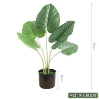 Арбуз красная полоса бассейн 5 -головой горшечный горшок с горшками для горшка