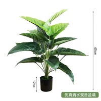 Моделирование капельна вода Гуанейн