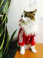 Панда-пряжка-автор и зимний флис-дахон