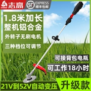 24v48v điện mới máy cắt cỏ pin lithium cao cấp ba lô sạc máy cắt cỏ máy cắt cỏ sử dụng trong nông nghiệp