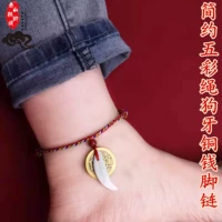 Красочная веревка медная монета собаки (модель для взрослых) 18-28 см регулируется