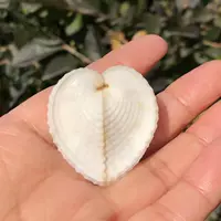 Байсин клад 4-5 см