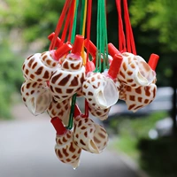 【Dongfeng Snail Swistle】 5-7 см