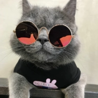 Золотая рама красная ртуть