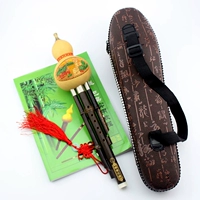 Zizhu sanyin c tu+кожаная коробка+учебные материалы