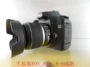 Máy ảnh DSLR kỹ thuật số Canon 40D 30D mới nhập cảnh phong cảnh nhân vật chính - SLR kỹ thuật số chuyên nghiệp may anh sony