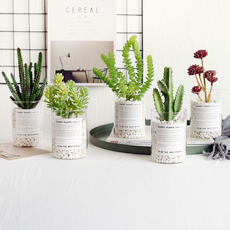 бонсай Ветра Инь скандинавской горшечных модули