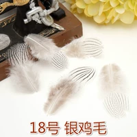 № 18 Серебряные перья