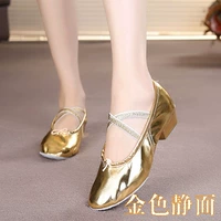 Золотая чистая обувь для преподавателей лапши