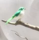 Зеленая и белая толстая птица 15 см