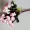 Hoa giả hoa giả nụ hoa trang trí hoa cắm hoa 苞 ngón tay cái ngôi sao hoa hồng chụp xong đạo cụ - Hoa nhân tạo / Cây / Trái cây lá cây giả