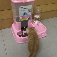 bát mèo nồi mèo cung cấp chó cung cấp chó bát thức ăn cho chó bát đôi bát nước uống tự động