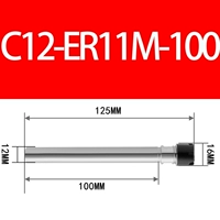 C12-ER11M-100