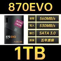 870 EVO 1TB