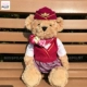 Индивидуальная флайта для авиакомпании Southern Airlines Teddy Bear