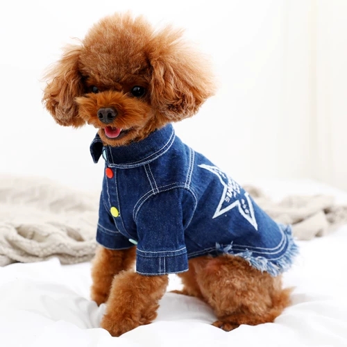 Dokipao 2020 Spring и лето 120121018 Джинсовая конфеты на пуговицах дюймовый рубашка