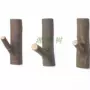 Retro chi nhánh mộc cây gỗ vỏ cây treo móc mục vụ đơn giản sáng tạo cành cây trang trí bằng tay móc móc ghế chân quỳ