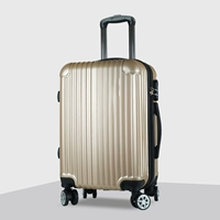 Абс шампанский золотой цвет