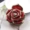Hàn Quốc nhập khẩu hoa hồng kèn bắt tóc phiên bản Hàn Quốc của clip hoa cỡ trung Liu Hai kẹp tóc lớn kẹp tóc phụ kiện - Phụ kiện tóc