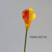 Little Horseshoe Lotus 1 [оранжевый желтый/желтый ядро]