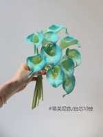 Little Horseshoe Lotus 10 [Tiffany/White Core]