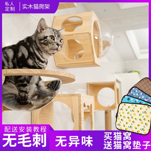 12 -Year -Sold Shop более 20 цветов кошачьих кошек кошек кошек, деревянная кошачья лазание