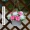 Mô phỏng giỏ treo hoa trang trí hoa lan treo trong chậu treo hoa giả cây xanh mô phỏng hoa lan trần giả hoa treo tường - Hoa nhân tạo / Cây / Trái cây