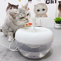 Кошка питьевая вода износа [Соединенные Штаты] Filterx Cool Pet Cat Автоматический питьевой нагреватель живой вода циркулирующая кошка