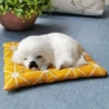 Товары от 猫咪crafts 模型装饰摆饰