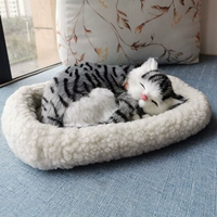 Дыхание Qingdao Cat купить 1 получить 5 Get 5